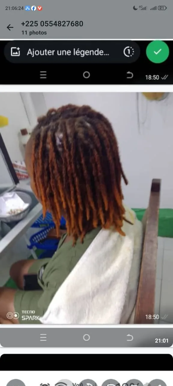 Brother locks
