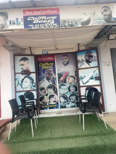 Le salon Raz cool, photo 2