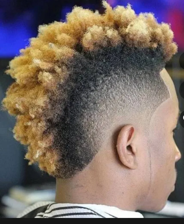 Le salon juriste coiffure, photo 2